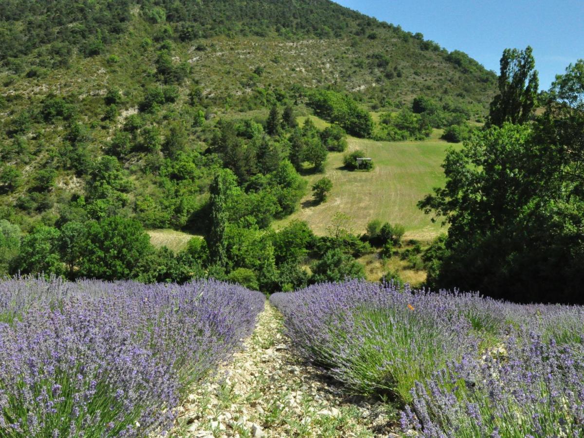 Superb Holiday Flat With Private Pool Villa Carpentras Exterior photo